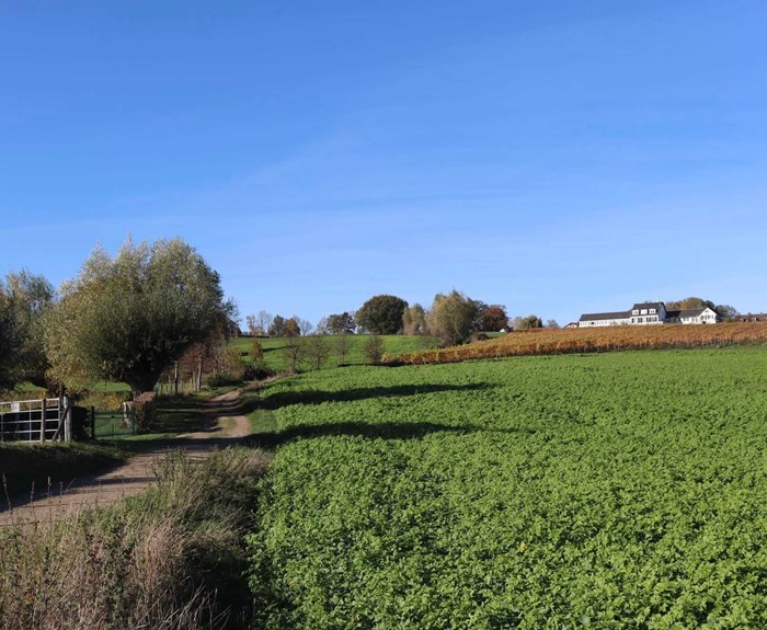 wandelen u-center