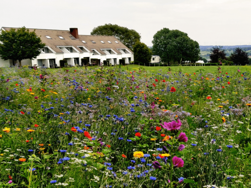 Bloemenzee U-center Epen